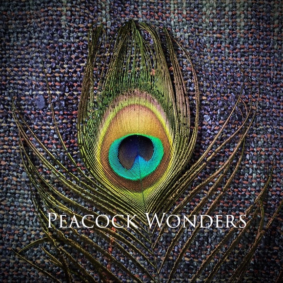 peacockwonders